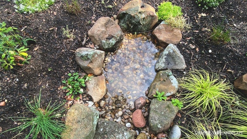 Dry Stream Bed Basin With Water
