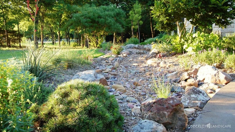 NativeTexas landscape wtih dry stream bed