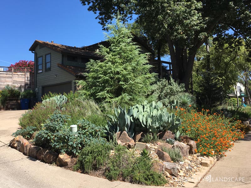 Curb Appeal Gallery - Dubberley Landscape