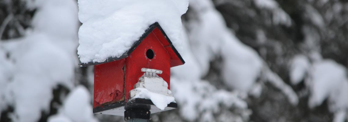 Winter Snow Bird House