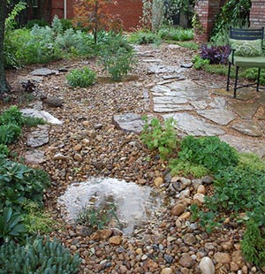 Front Yard Rain Garden