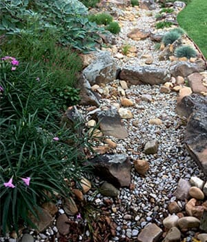 Dry Strem Bed With Native Plantings