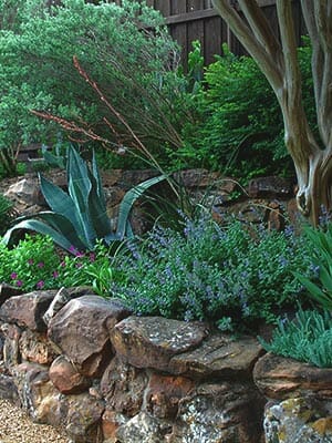 Moss Boulder Retaining Wall With Native Plantings