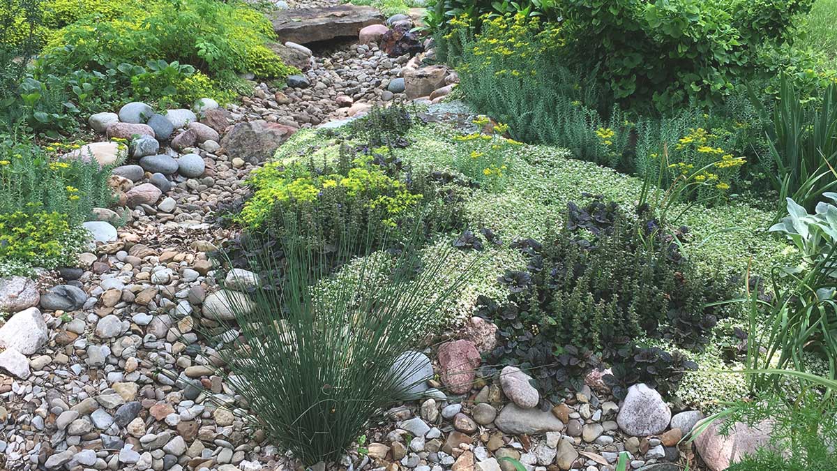 Nature-Inspired Landscapes with Dry Stream Beds