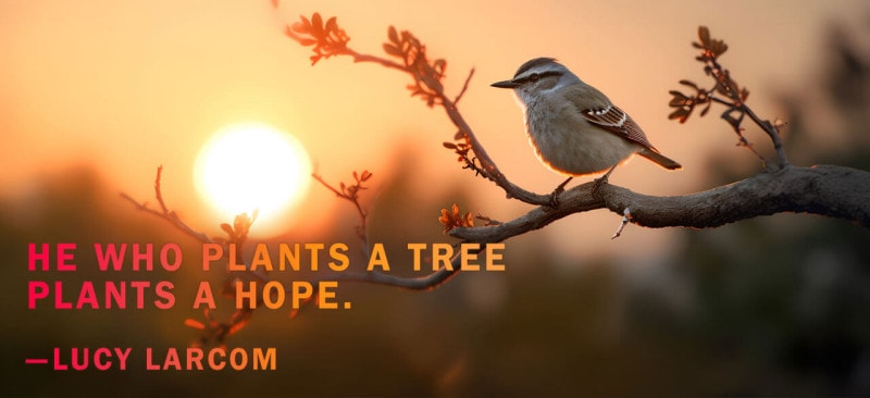 Tree Quote By Lucy Larcom. He who plants a tree plants a hope.