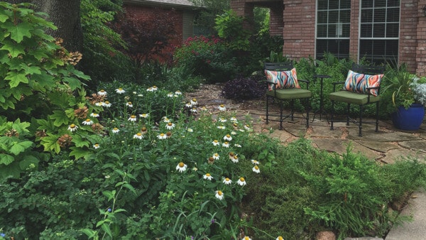 Plano Rain Garden In Shadey Front Yards