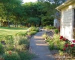 Colorful plantings along a walkway make a welcoming entrance Front walkway with flowers and native Texas plants
