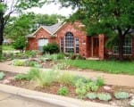 Native landscape curb appeal