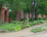 Replace lawn with drought tolerant flowering plants in the "hell-strip" to bring curb appeal right out to the curb Native landscape plants add curb appeal
