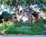 Bringing plantings up to the curb invites passersby to enjoy a green, shady front landscape Shade garden in Plano, Texas
